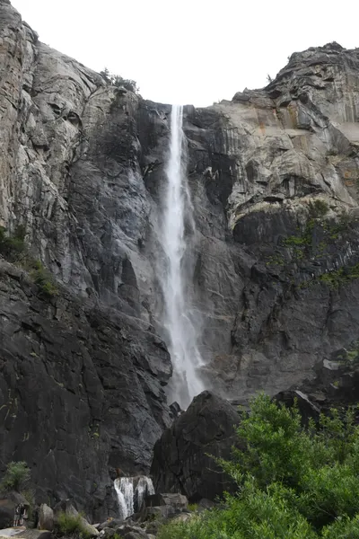 DSC_4611 (Large).JPG